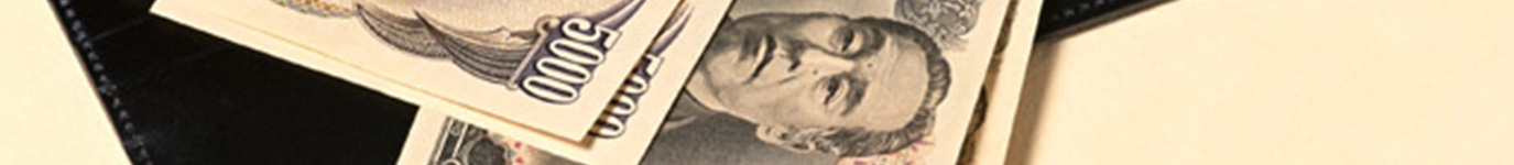 わかりやすい料金体系